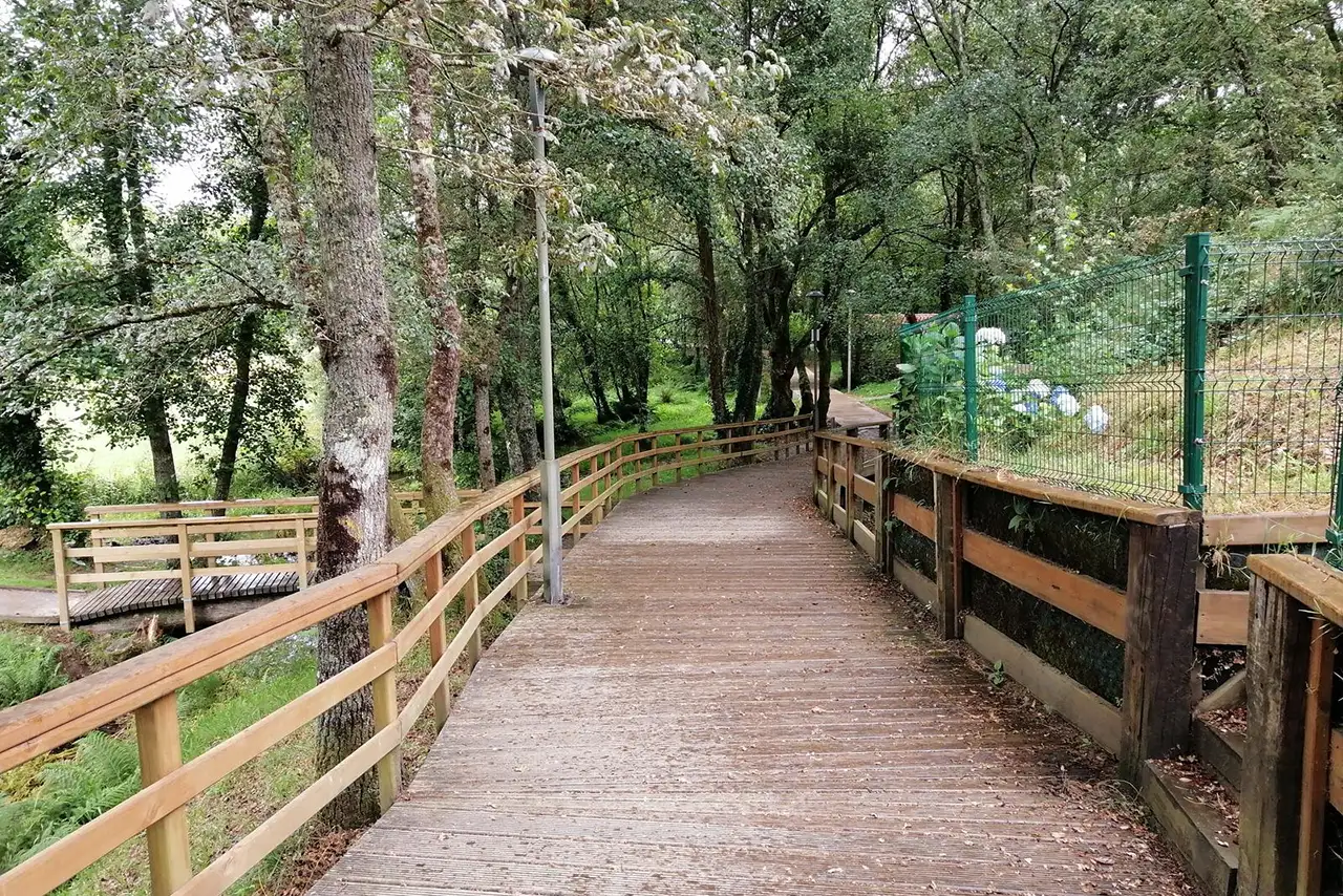 Pasarela de madera entre árboles en una ruta natural junto a un río en Ordes.